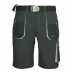 250520-classic-gray-shorty-przod.png